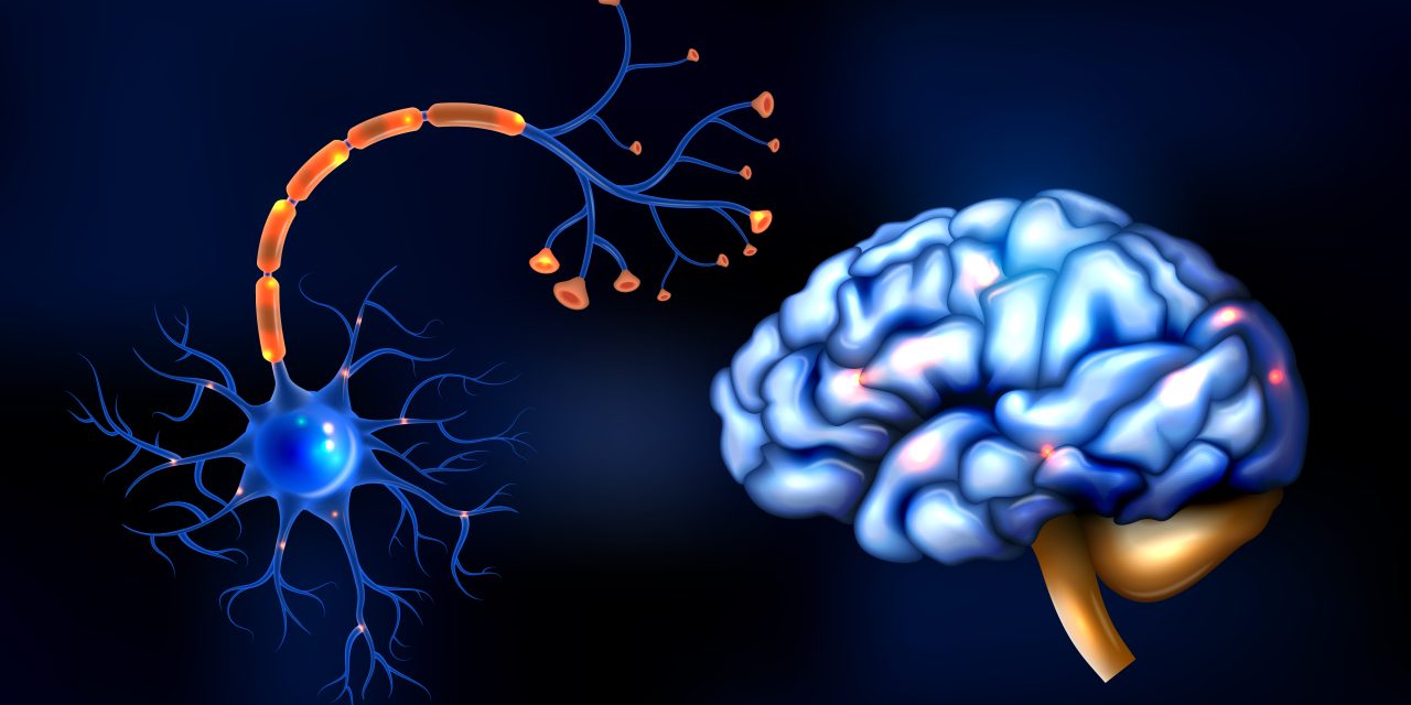 Hyper Brain, Hyper Body: The Trouble With High IQ